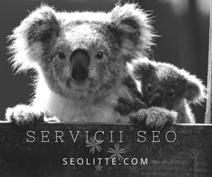 seo in romania