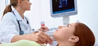 endocrinologie