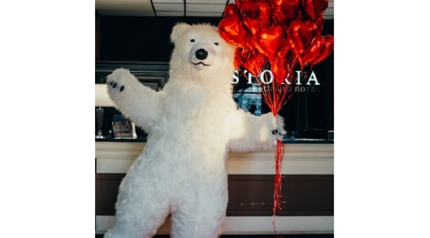 surprize cu ursul alb